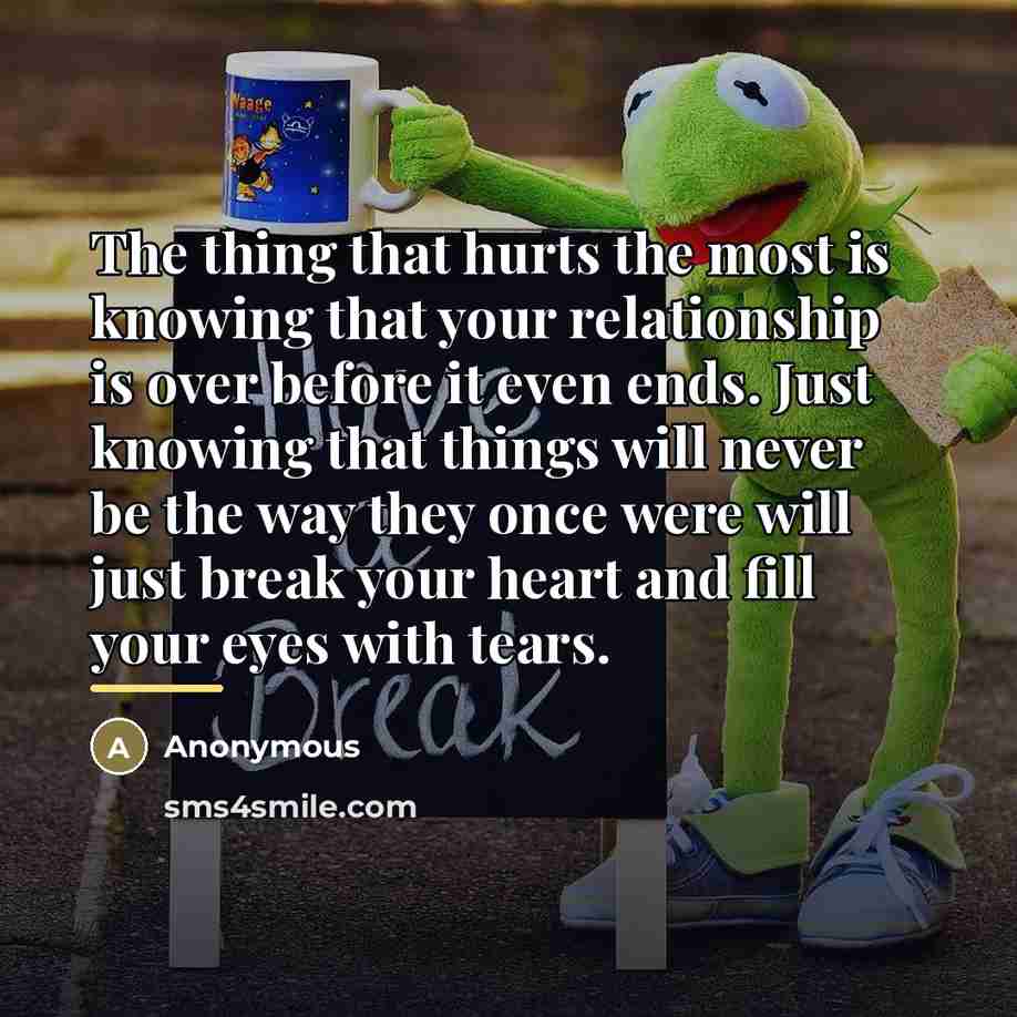 “The thing that hurts the most is knowing that your…” quote by Anonymous
