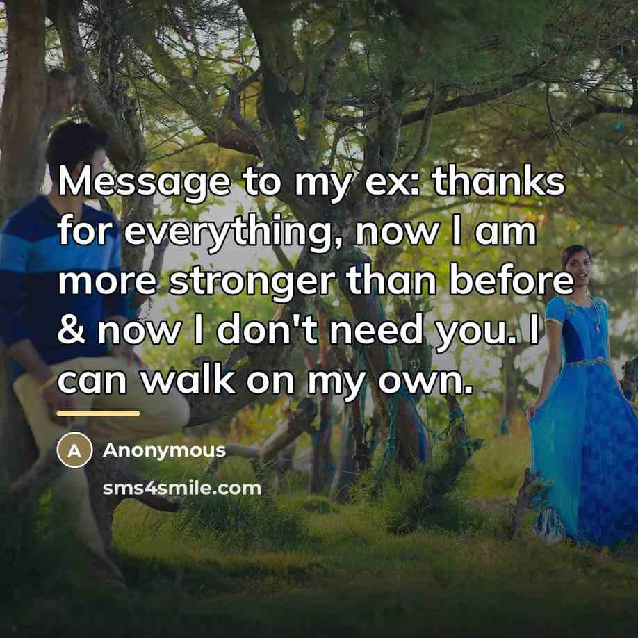 “Message to my ex: thanks for everything, now I am…” quote by Anonymous