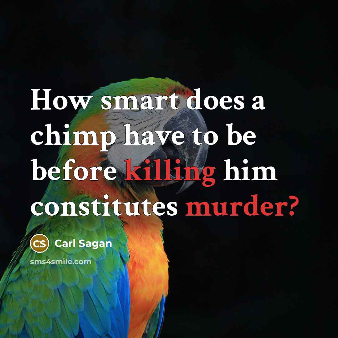 “How smart does a chimp have to be before killing him constitutes murder?” quote by Carl Sagan