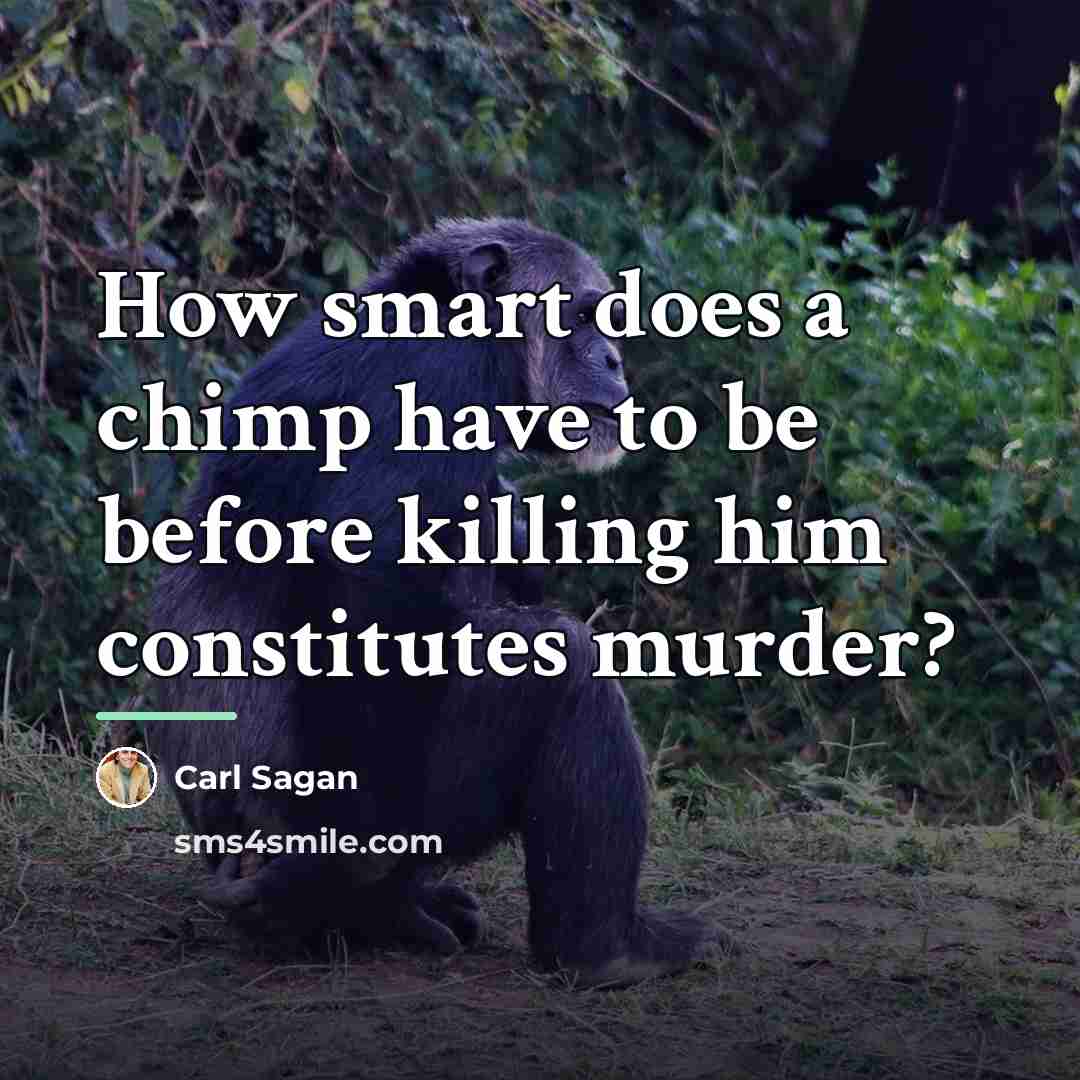 “How smart does a chimp have to be before killing…” quote by Carl Sagan