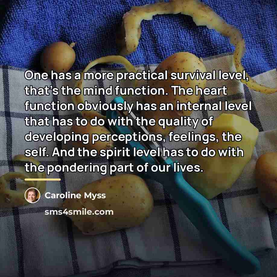 “One has a more practical survival level, that's the mind…” quote by Caroline Myss