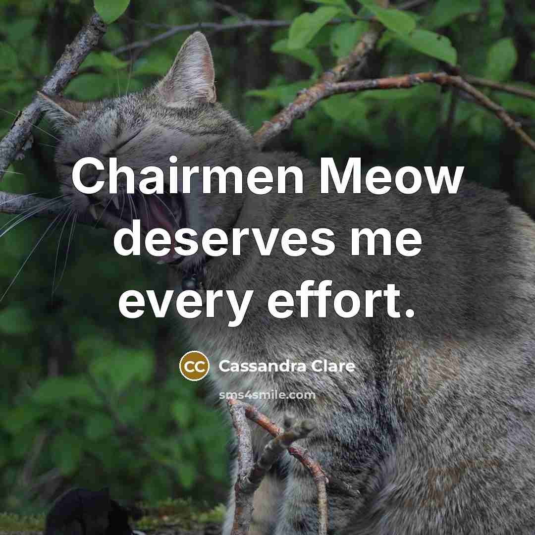 “Chairmen Meow deserves me every effort.…” quote by Cassandra Clare