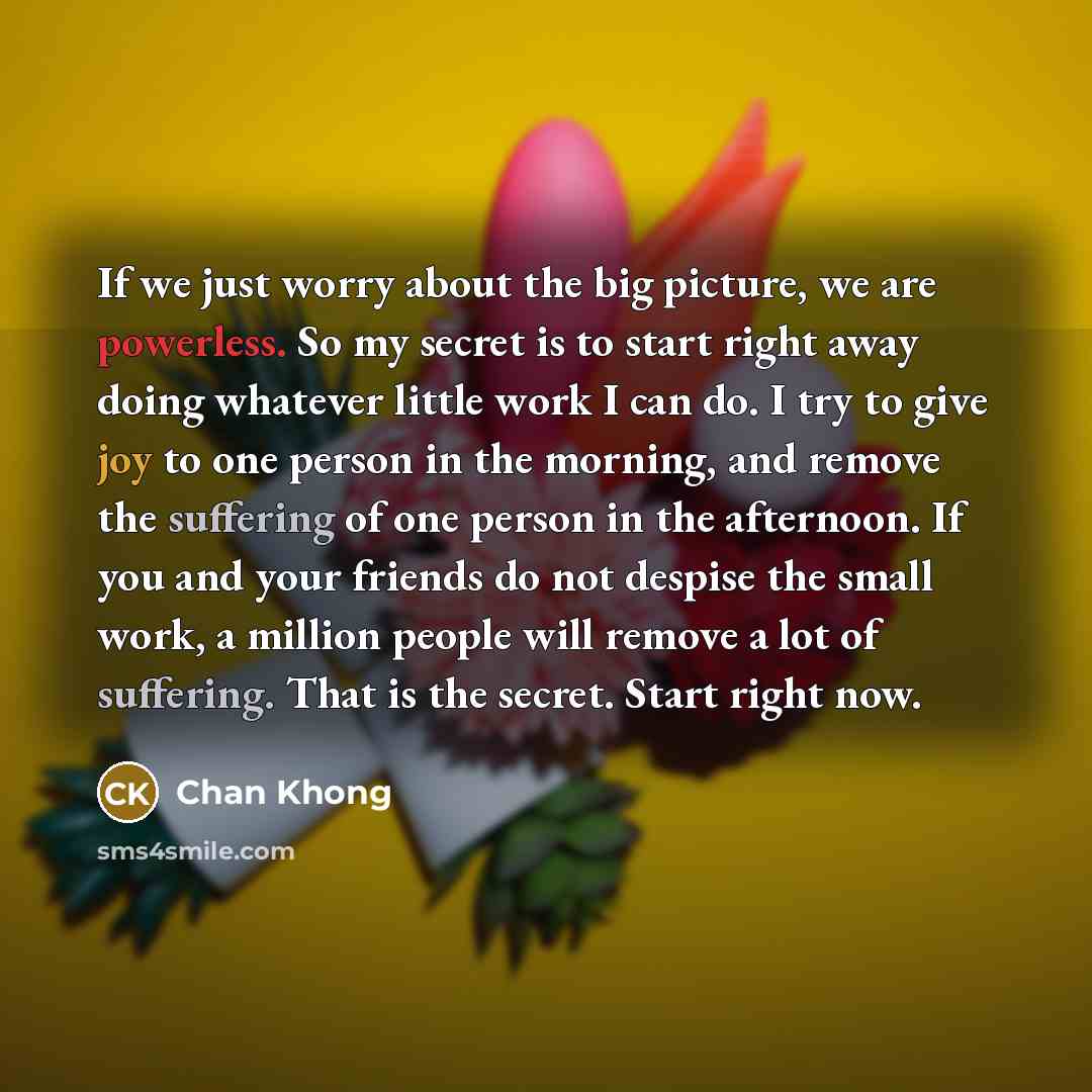 “If we just worry about the big picture, we are…” quote by Chan Khong