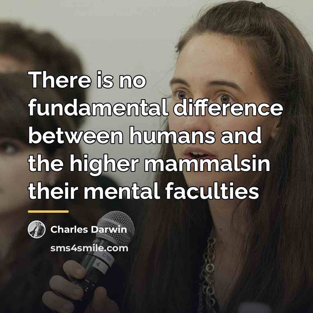“There is no fundamental difference between humans and the higher…” quote by Charles Darwin