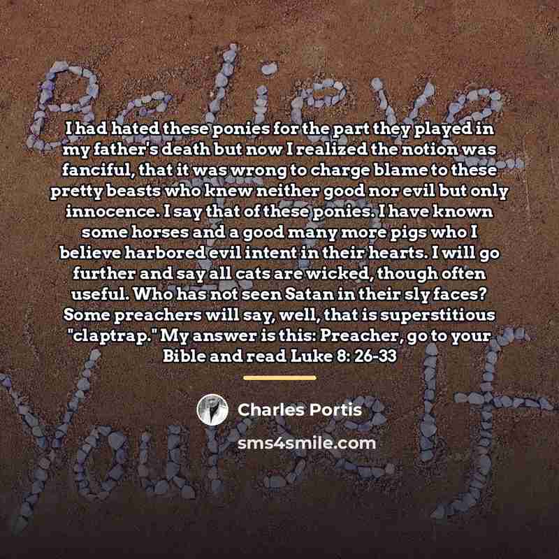 “I had hated these ponies for the part they played…” quote by Charles Portis