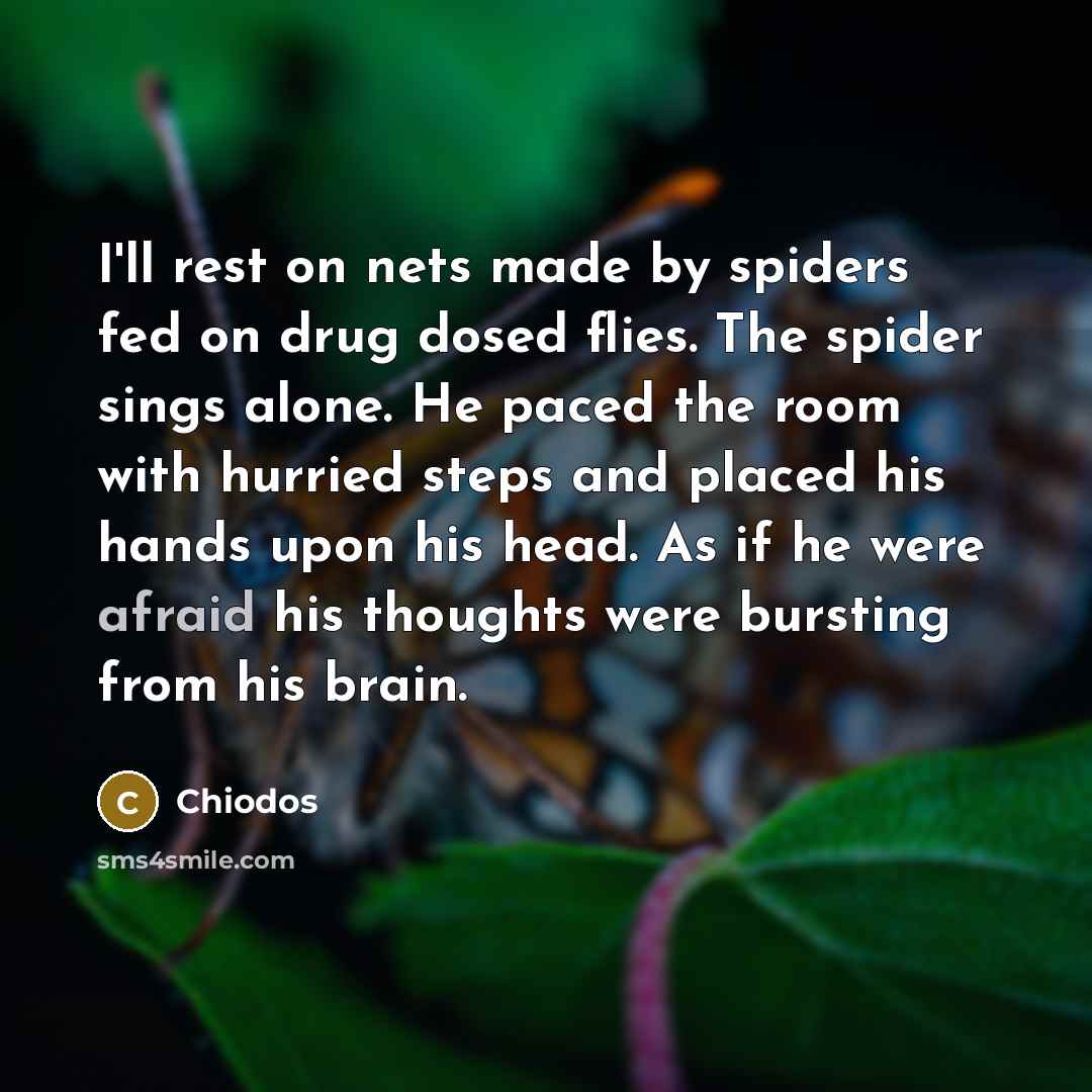 “I'll rest on nets made by spiders fed on drug…” quote by Chiodos
