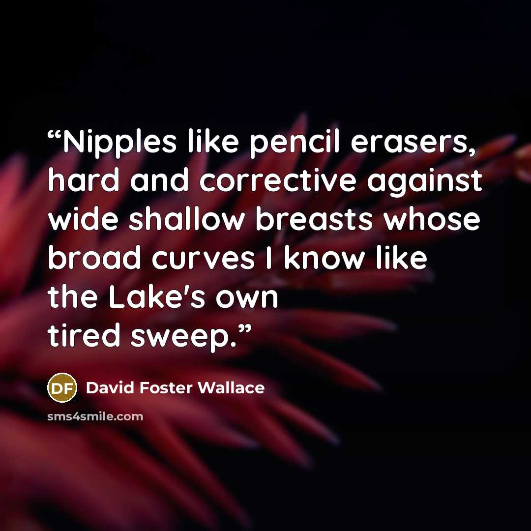 “Nipples like pencil erasers, hard and corrective against wide shallow breasts whose broad curves I know like the Lake's own tired sweep.” quote by David Foster Wallace