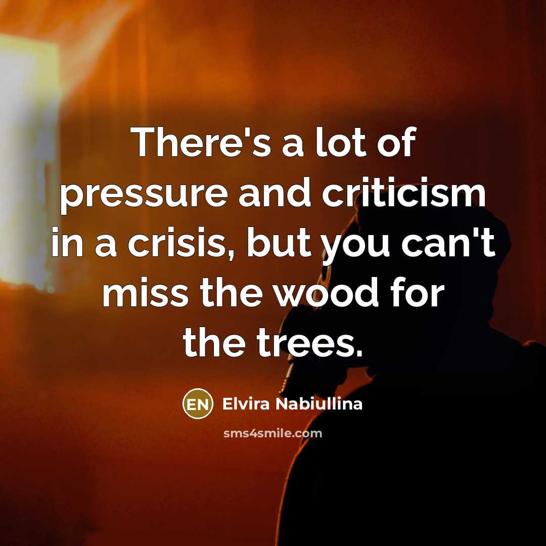 “There's a lot of pressure and criticism in a crisis,…” quote by Elvira Nabiullina