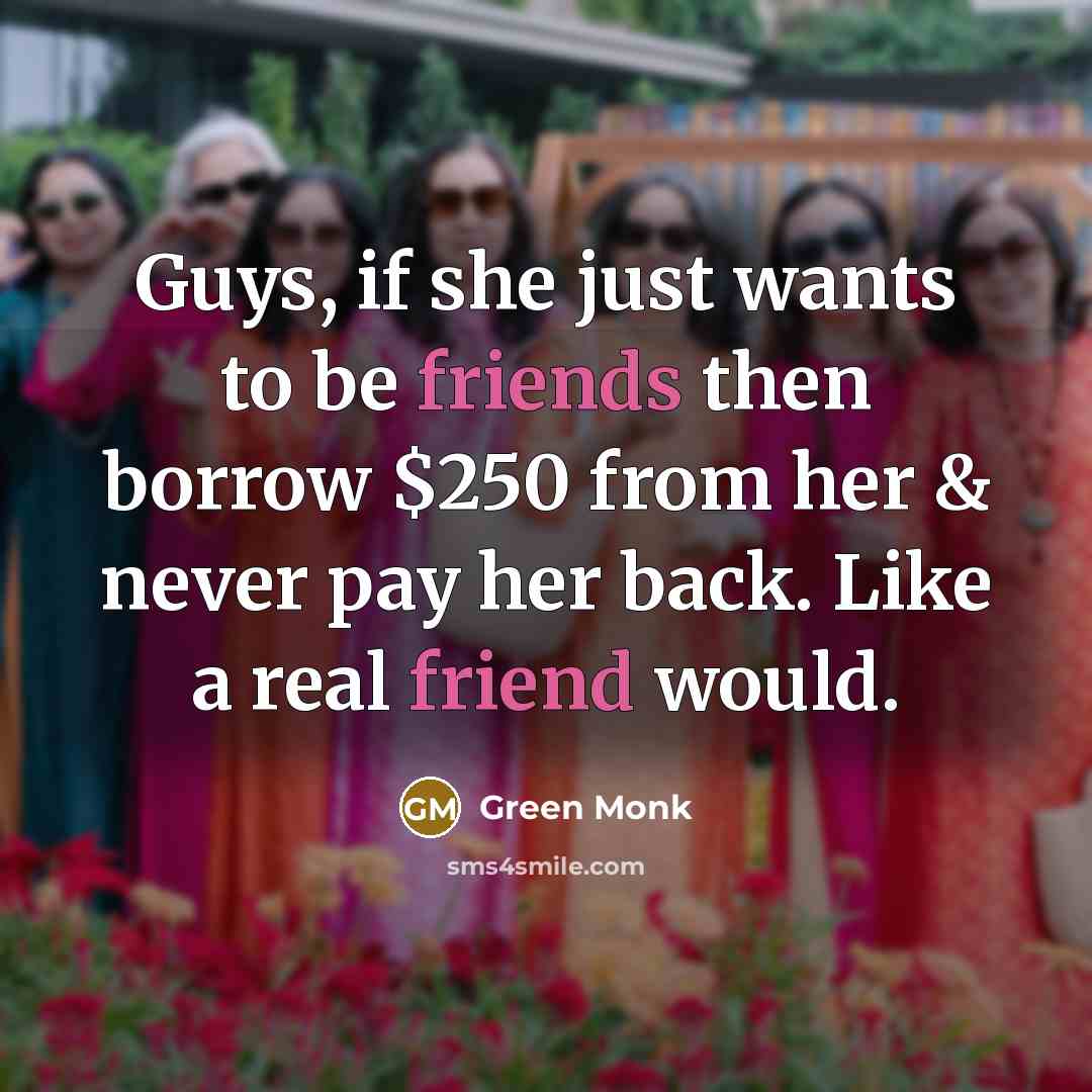 “Guys, if she just wants to be friends then borrow $250 from her & never pay her back. Like a real friend would.” quote by Green Monk