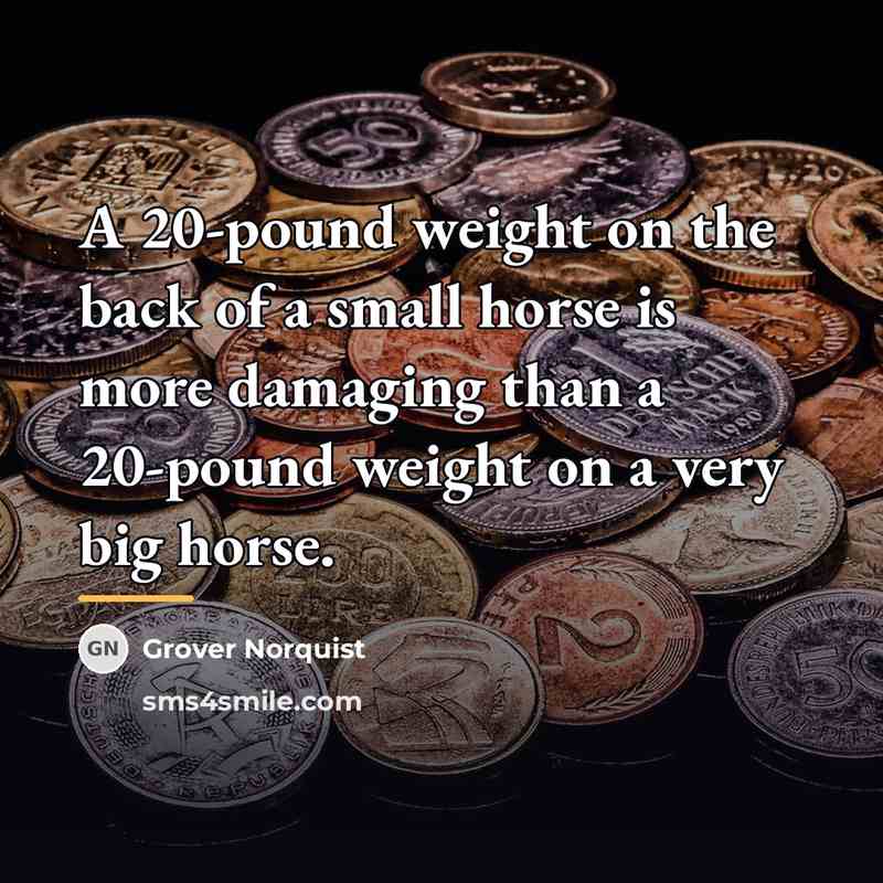 “A 20-pound weight on the back of a small horse…” quote by Grover Norquist