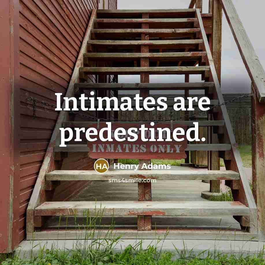 “Intimates are predestined.…” quote by Henry Adams