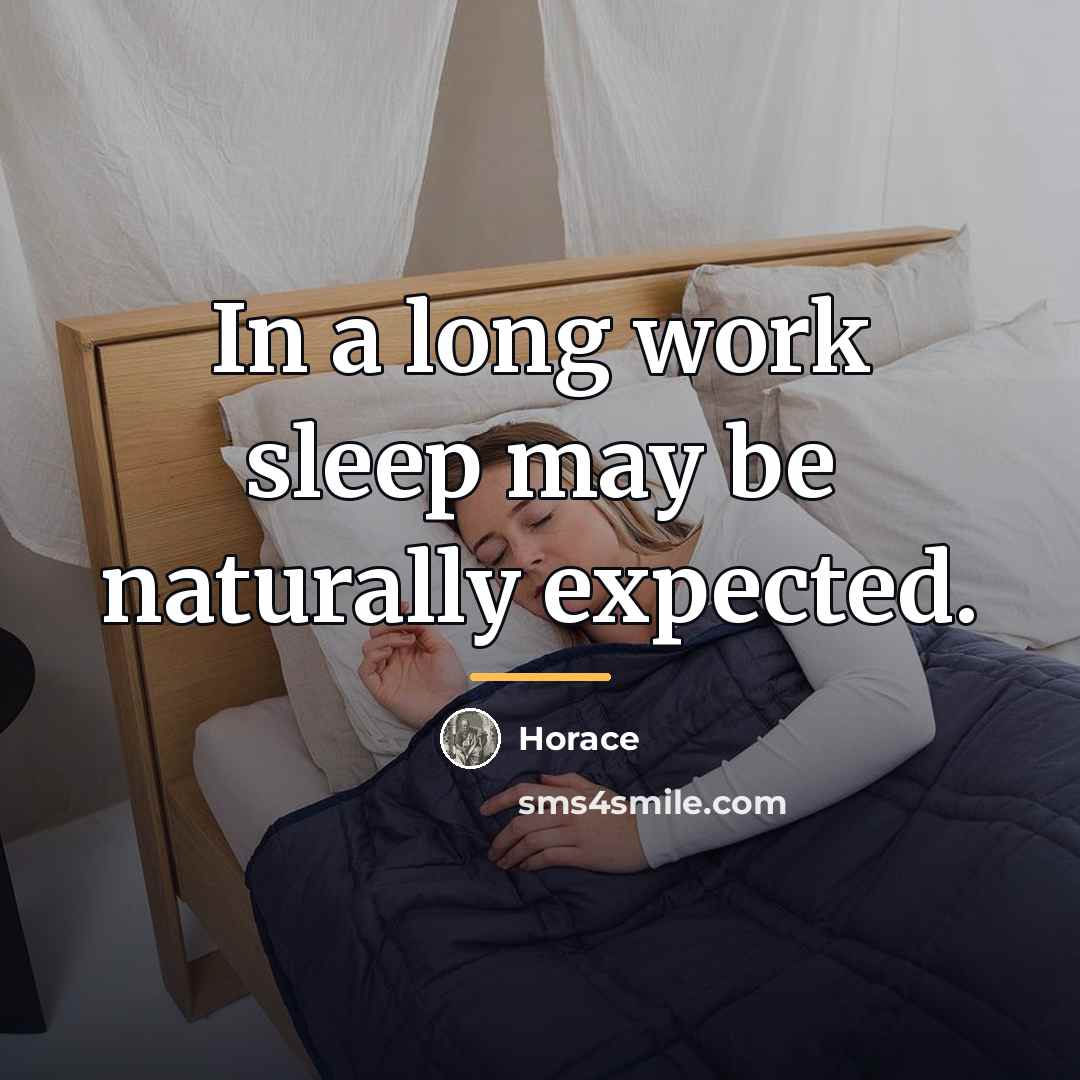 “In a long work sleep may be naturally expected.…” quote by Horace