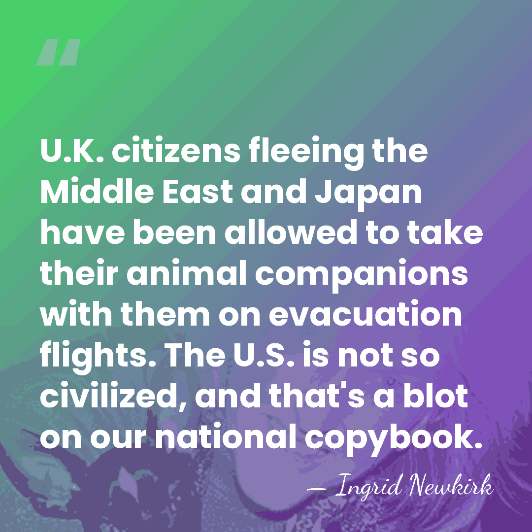 U.K. citizens fleeing the Middle East and Japan have been allowed to&hellip; - Ingrid Newkirk