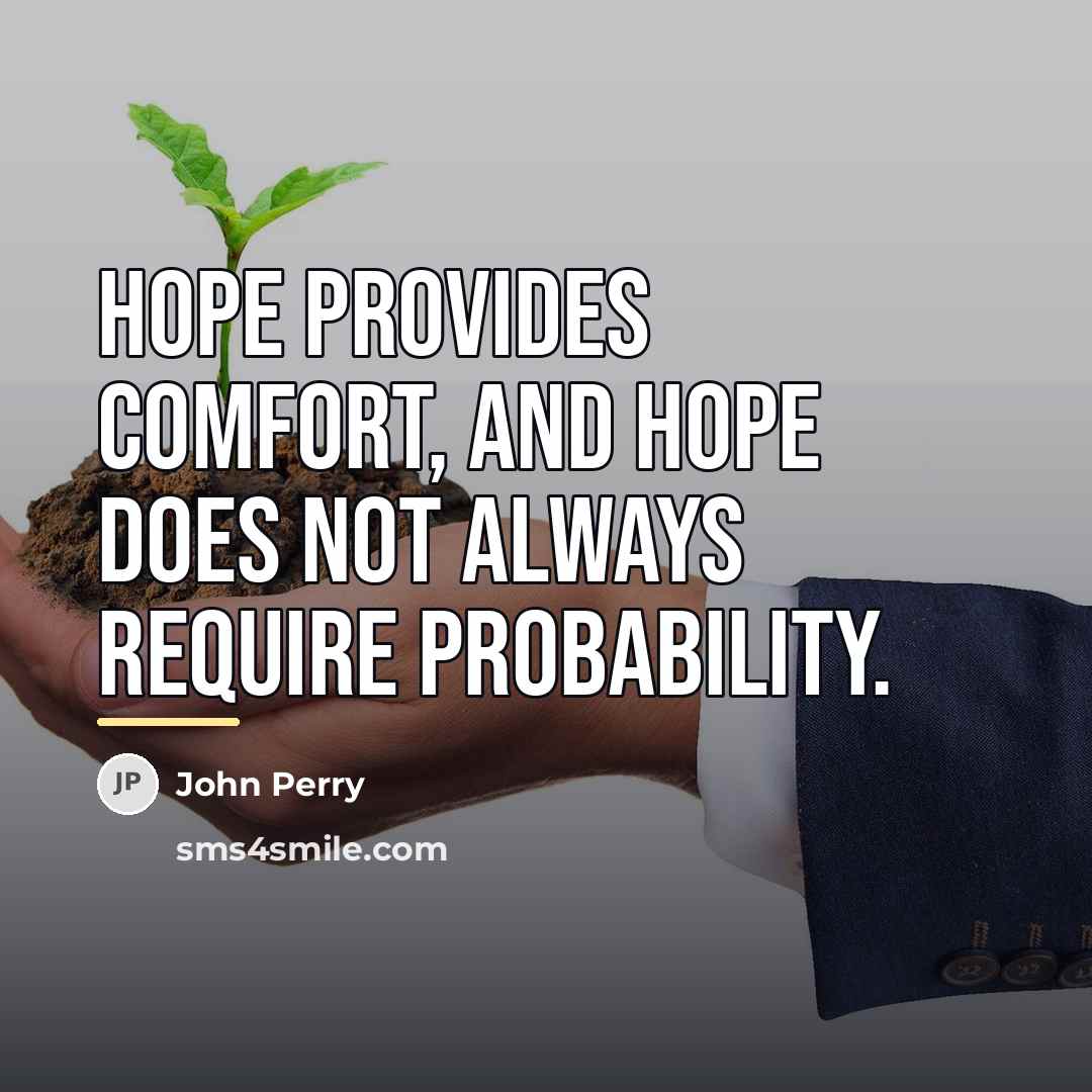 “Hope provides comfort, and hope does not always require probability.…” quote by John Perry