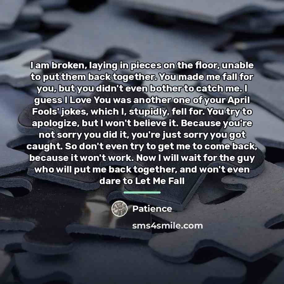 “I am broken, laying in pieces on the floor, unable…” quote by Patience