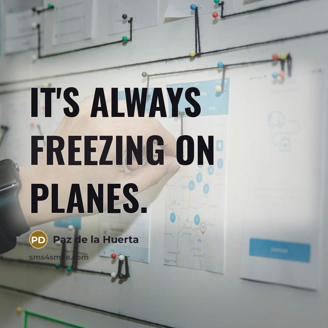 “It's always freezing on planes.…” quote by Paz de la Huerta