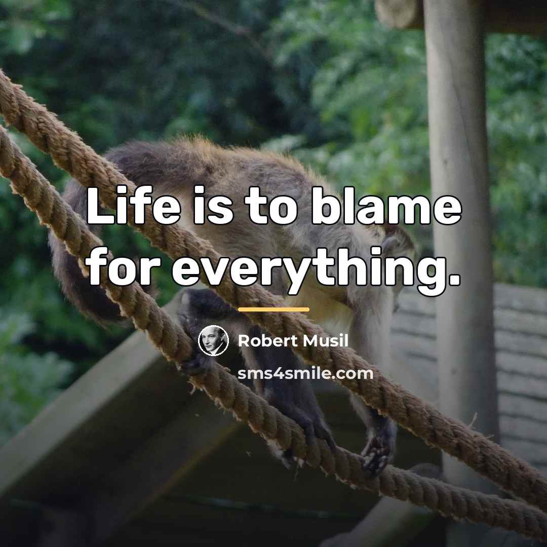 “Life is to blame for everything.…” quote by Robert Musil