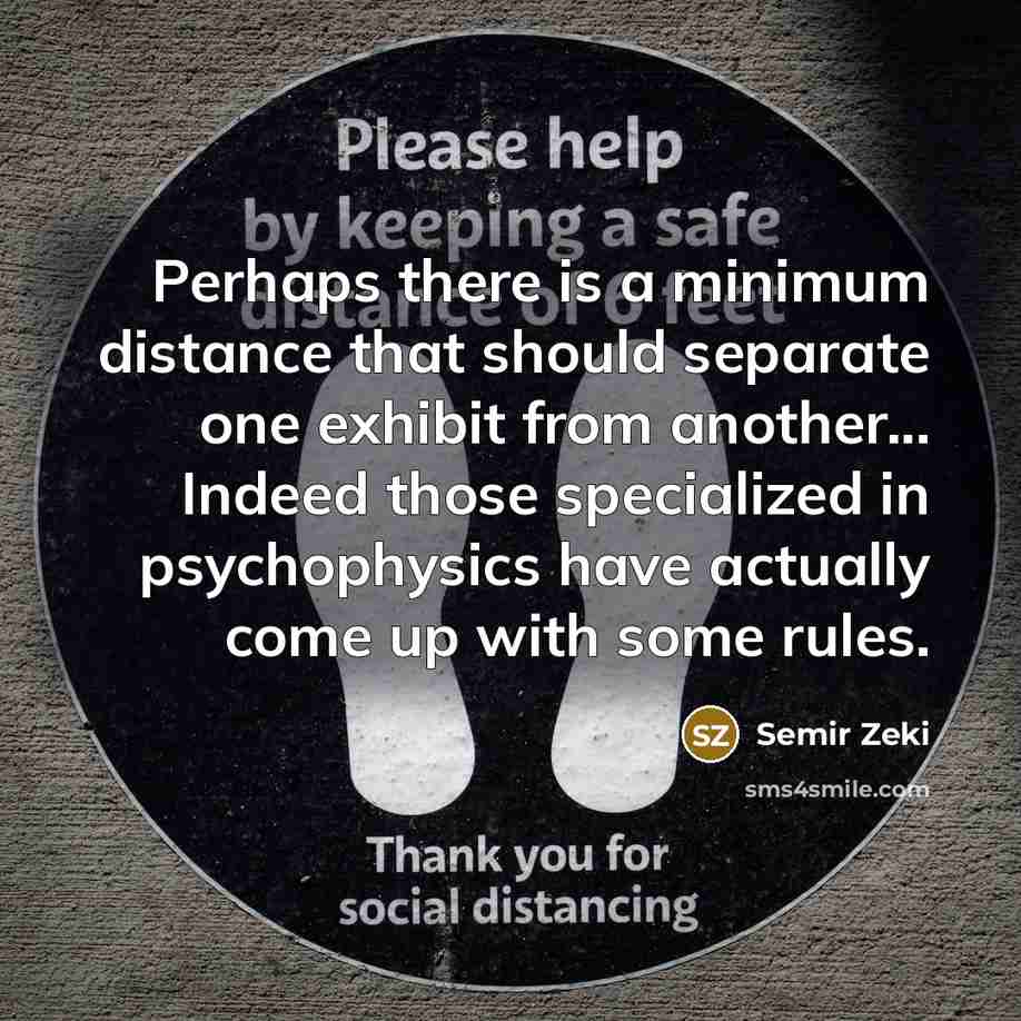 “Perhaps there is a minimum distance that should separate one exhibit from another... Indeed those specialized in psychophysics have actually come up with some rules.” quote by Semir Zeki