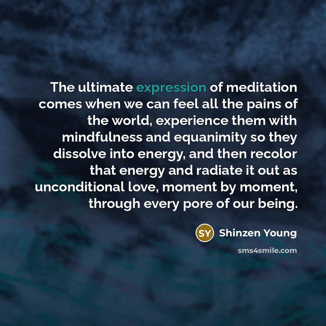 “The ultimate expression of meditation comes when we can feel…” quote by Shinzen Young