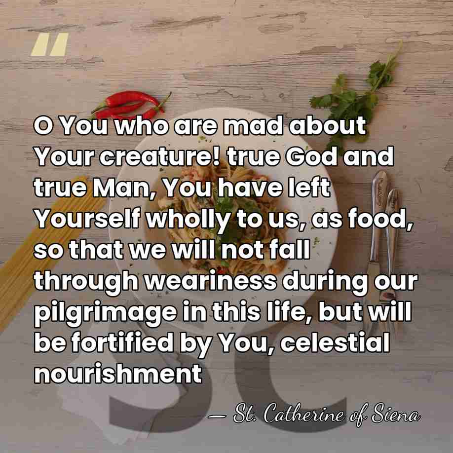 O You who are mad about Your creature! true God and true&hellip; - St. Catherine of Siena