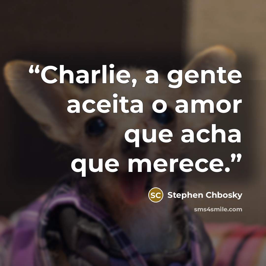 “Charlie, a gente aceita o amor que acha que merece.” quote by Stephen Chbosky
