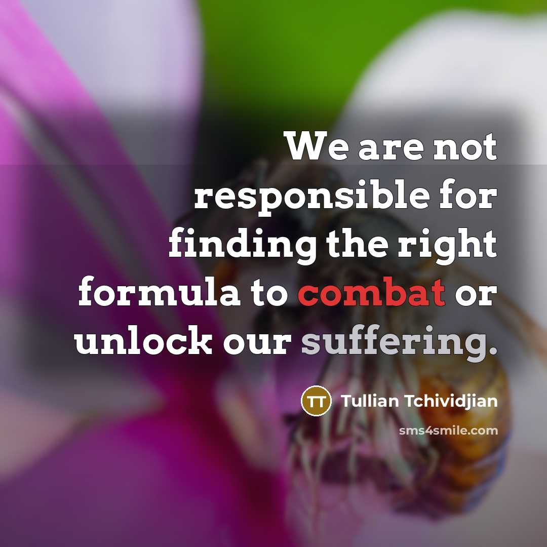“We are not responsible for finding the right formula to…” quote by Tullian Tchividjian