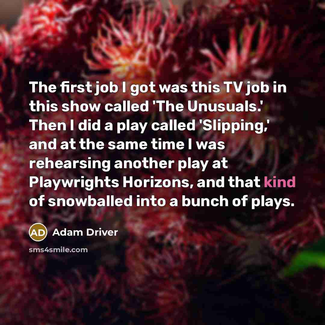 “The first job I got was this TV job in…” quote by Adam Driver