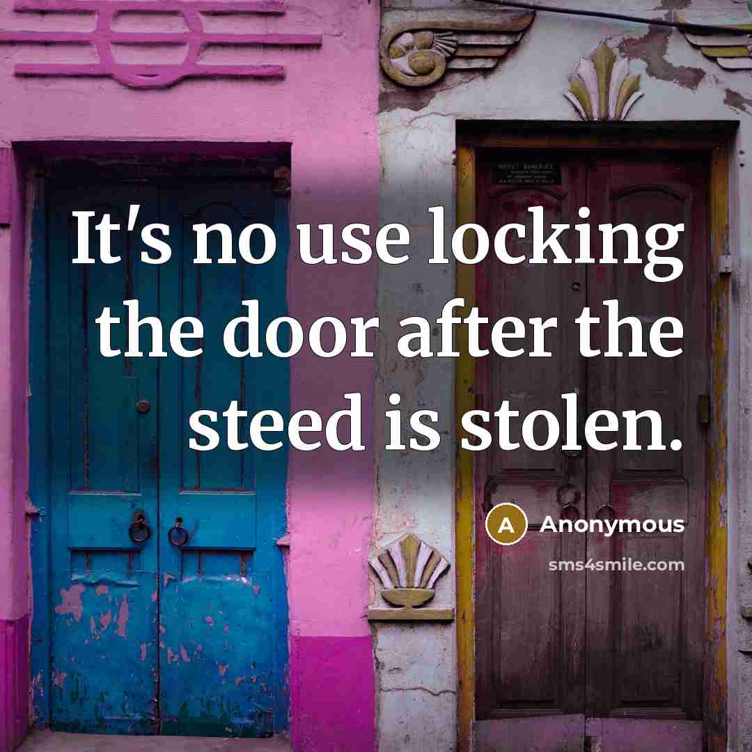 “It's no use locking the door after the steed is…” quote by Anonymous