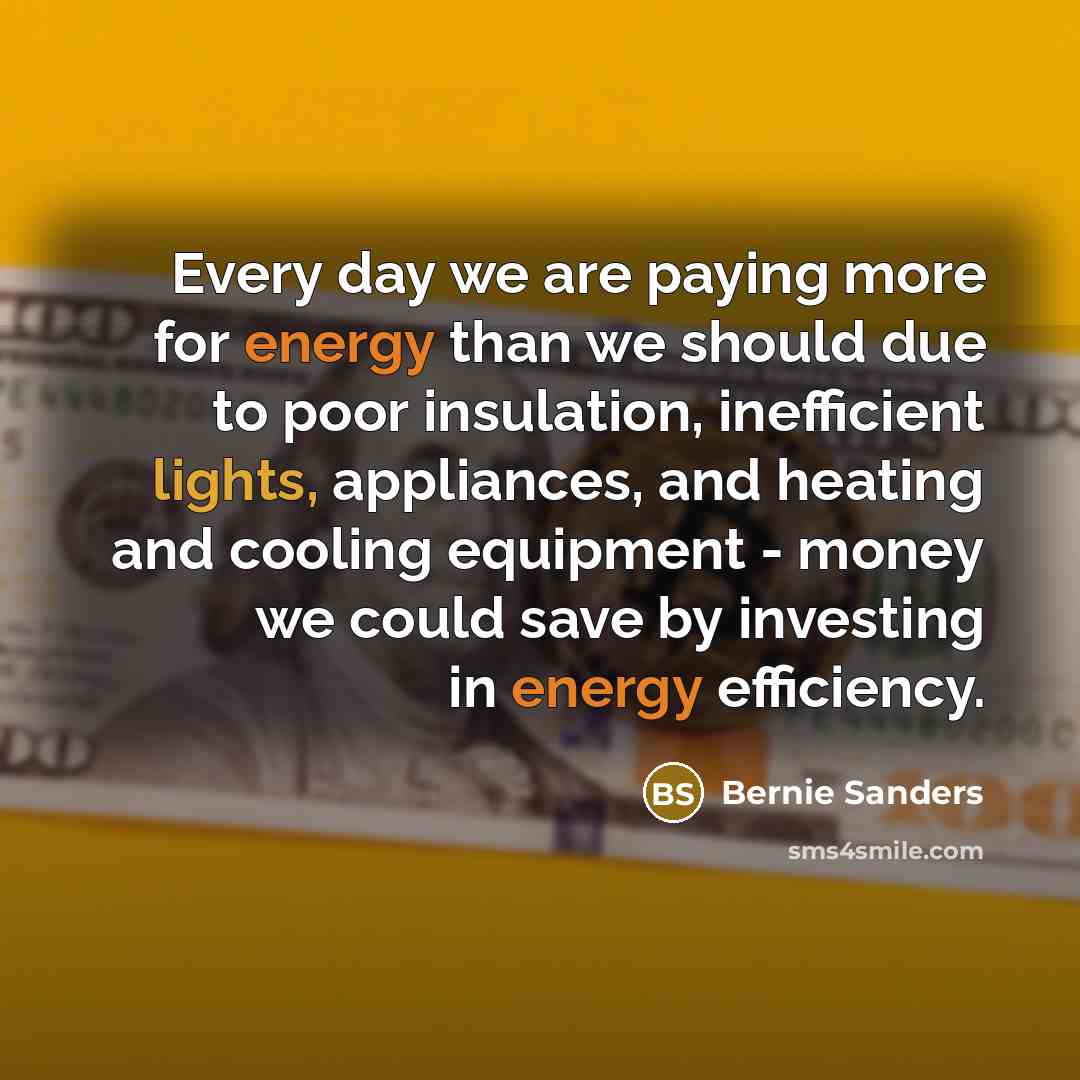 “Every day we are paying more for energy than we should due to poor insulation, inefficient lights, appliances, and heating and cooling equipment - money we could save by investing in energy efficiency.” quote by Bernie Sanders