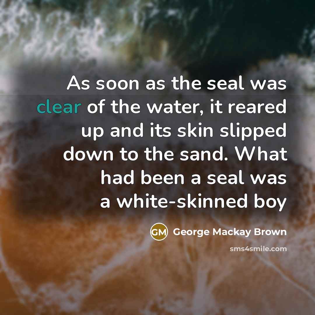 “As soon as the seal was clear of the water,…” quote by George Mackay Brown