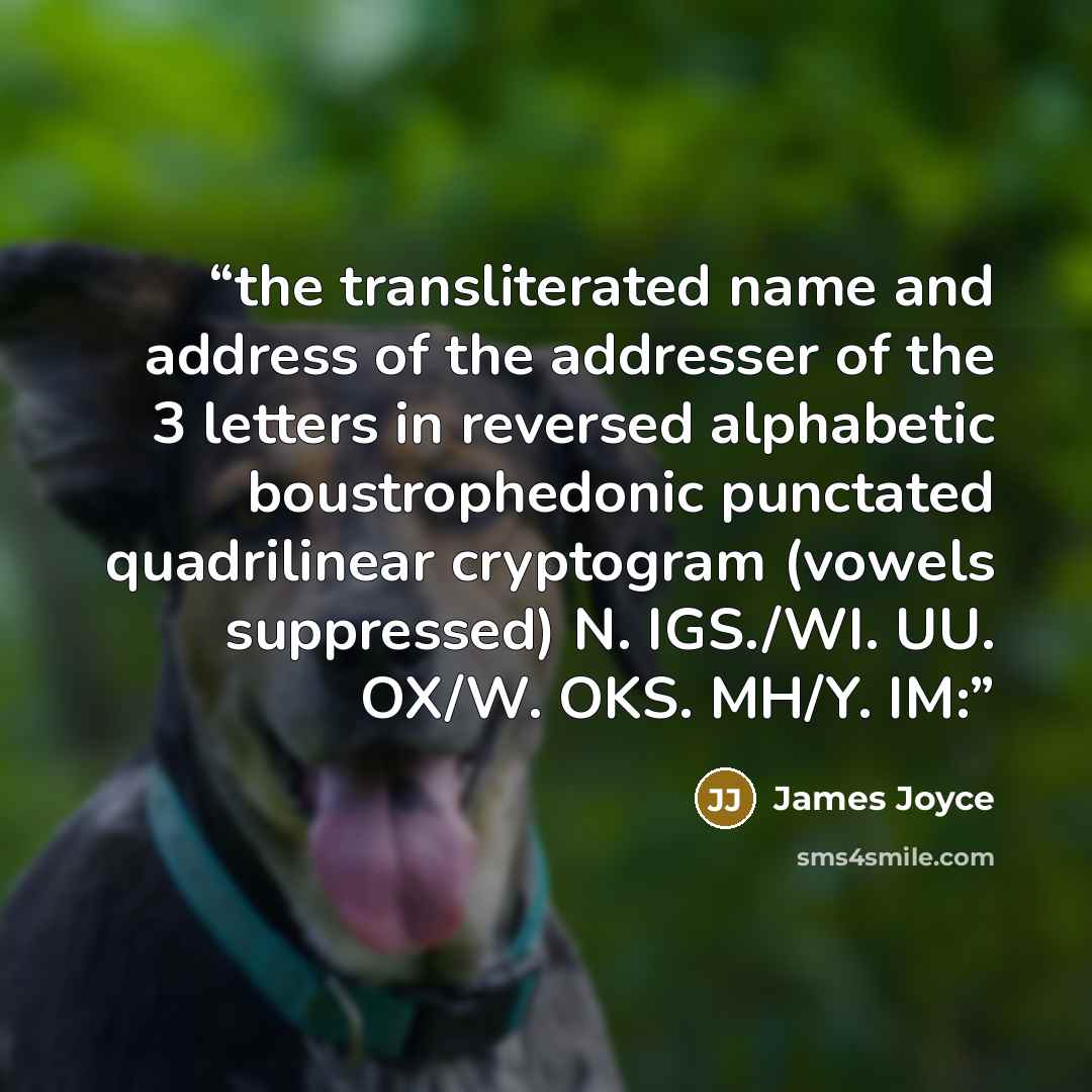 “the transliterated name and address of the addresser of the 3 letters in reversed alphabetic boustrophedonic punctated quadrilinear cryptogram (vowels suppressed) N. IGS./WI. UU. OX/W. OKS. MH/Y. IM:” quote by James Joyce