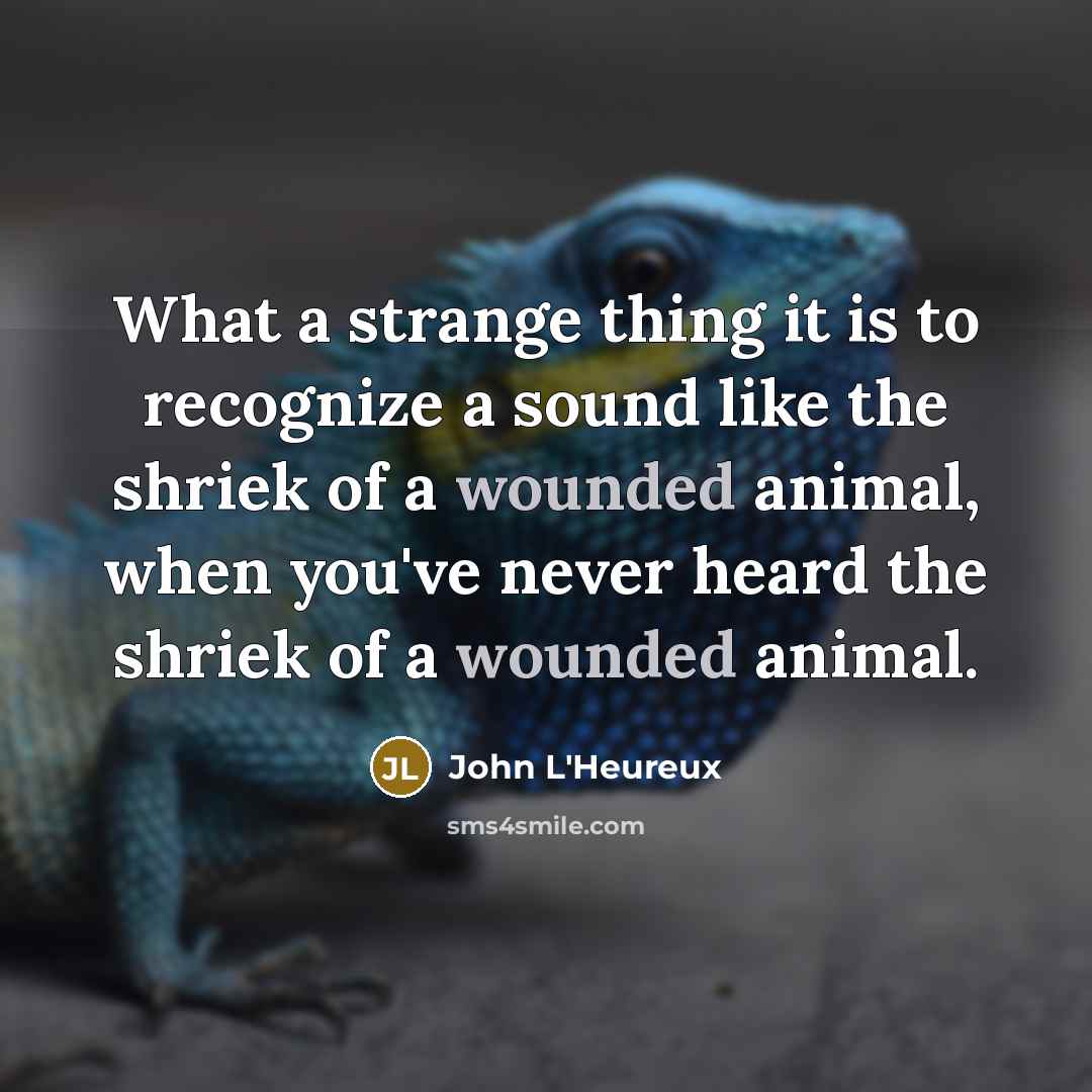 “What a strange thing it is to recognize a sound…” quote by John L'Heureux