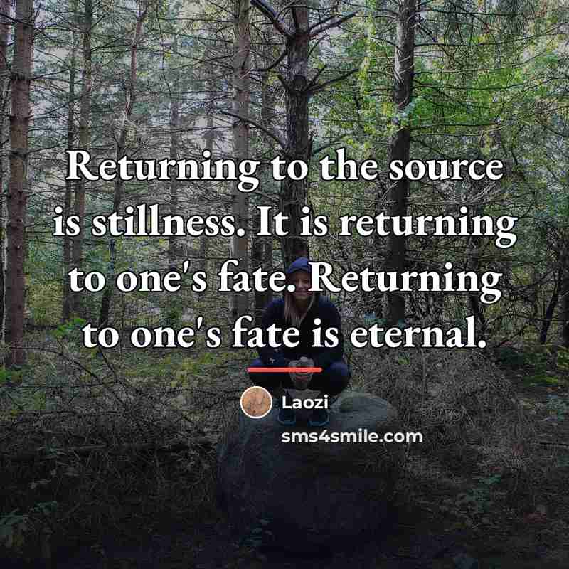 “Returning to the source is stillness. It is returning to…” quote by Laozi