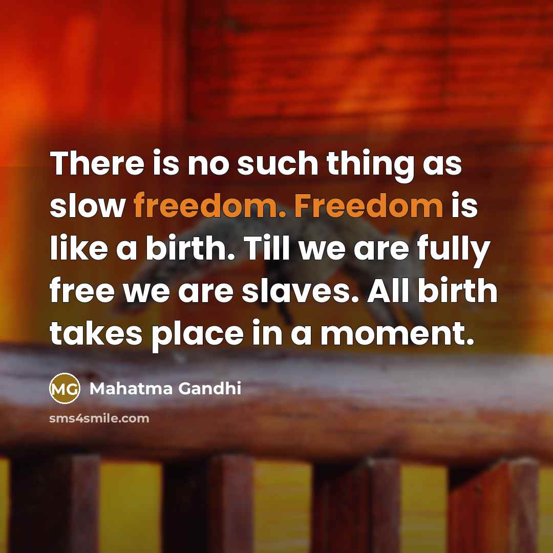 “There is no such thing as slow freedom. Freedom is…” quote by Mahatma Gandhi