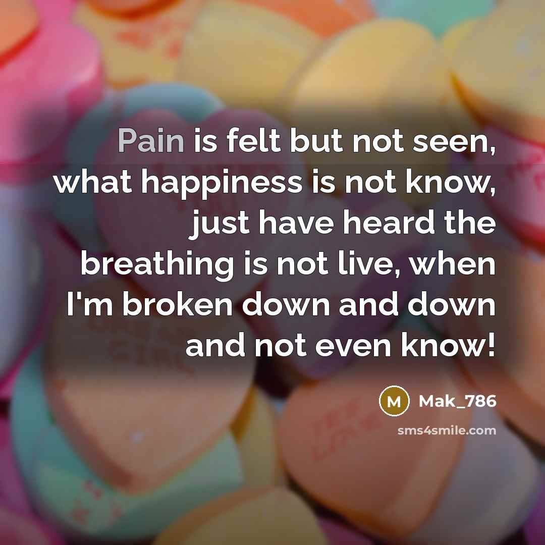 “Pain is felt but not seen, what happiness is not…” quote by Mak_786