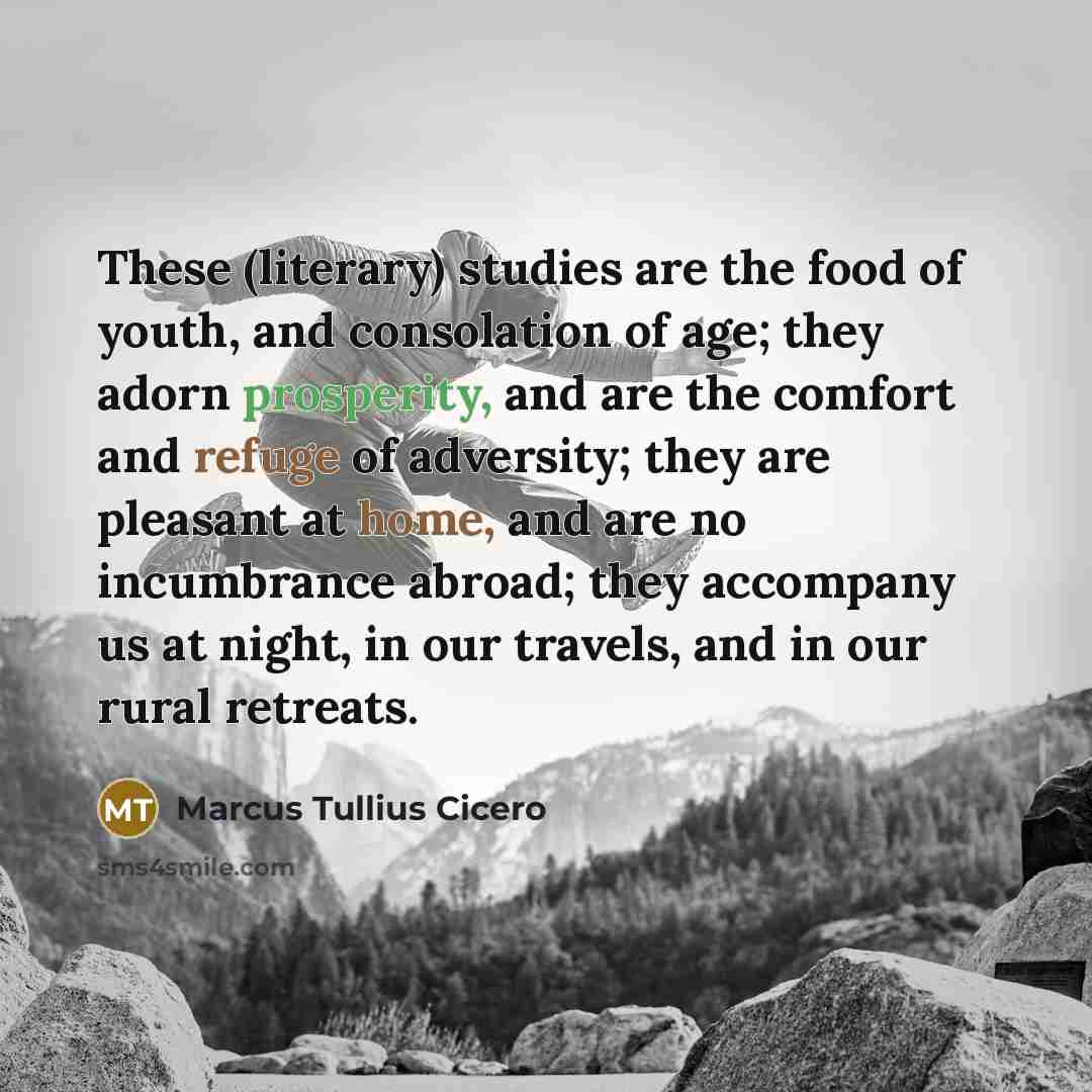 “These (literary) studies are the food of youth, and consolation…” quote by Marcus Tullius Cicero