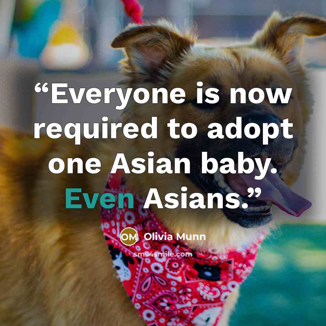 “Everyone is now required to adopt one Asian baby. Even Asians.” quote by Olivia Munn