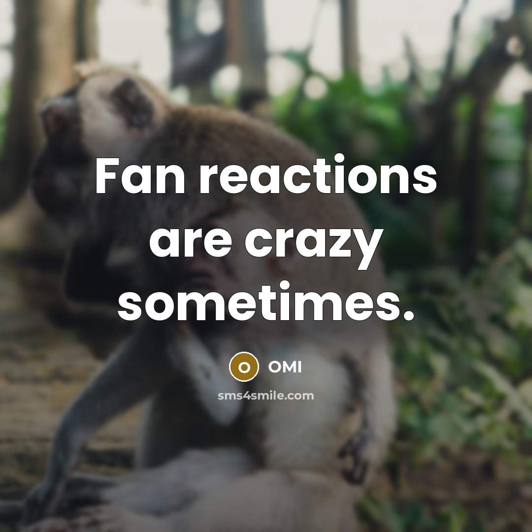 “Fan reactions are crazy sometimes.…” quote by OMI