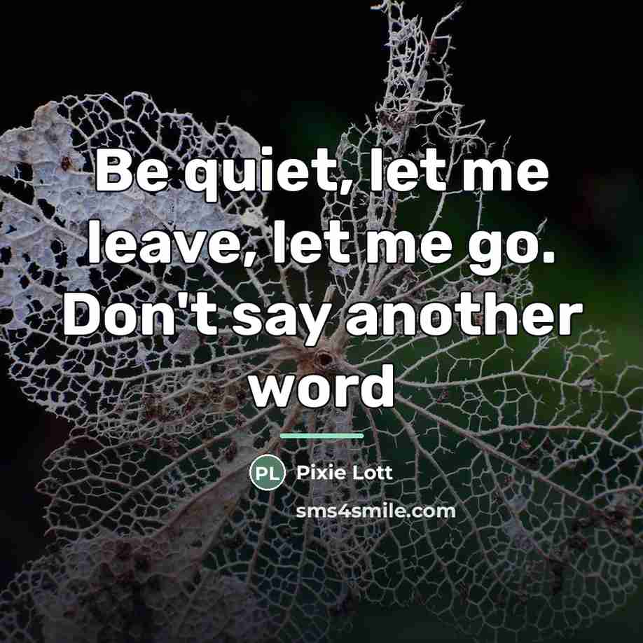 “Be quiet, let me leave, let me go. Don't say…” quote by Pixie Lott