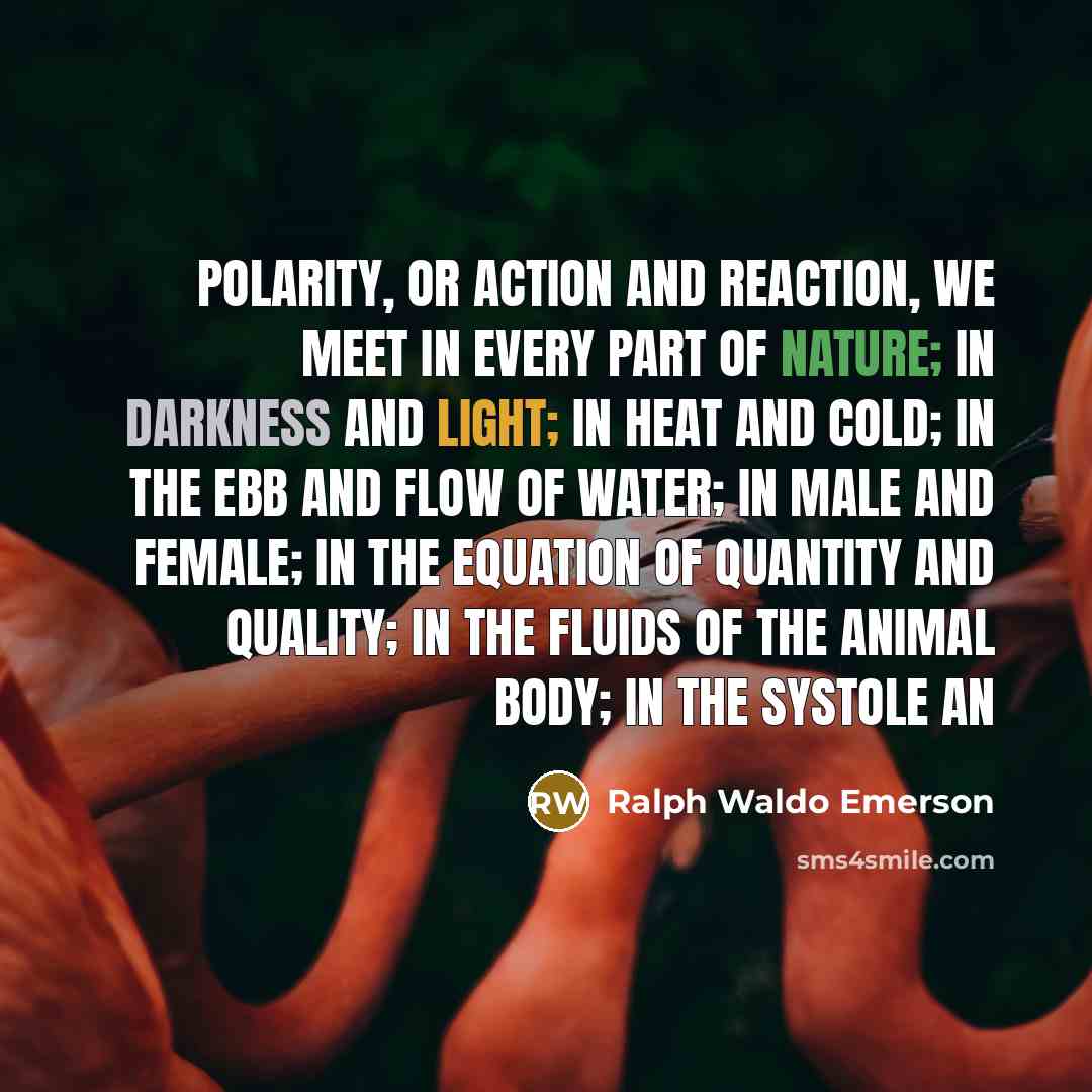“Polarity, or action and reaction, we meet in every part…” quote by Ralph Waldo Emerson