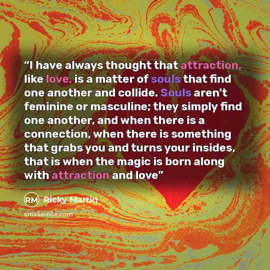 “I have always thought that attraction, like love, is a matter of souls that find one another and collide. Souls aren't feminine or masculine; they simply find one another, and when there is a connection, when there is something that grabs you and turns your insides, that is when the magic is born…” quote by Ricky Martin