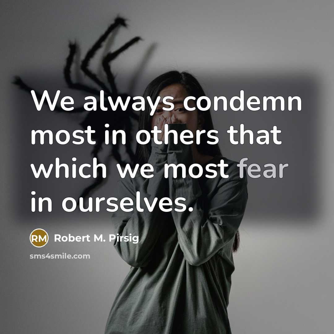 “We always condemn most in others that which we most…” quote by Robert M. Pirsig