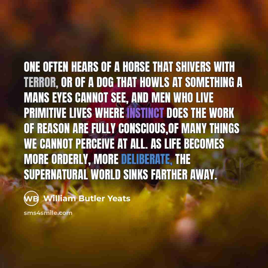 “One often hears of a horse that shivers with terror,…” quote by William Butler Yeats