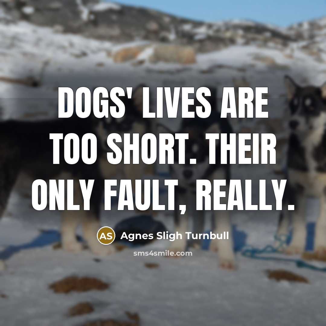 “Dogs' lives are too short. Their only fault, really.” quote by Agnes Sligh Turnbull