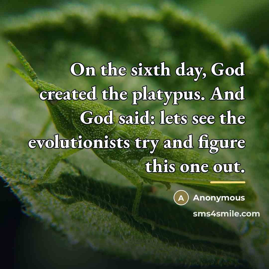“On the sixth day, God created the platypus. And God…” quote by Anonymous