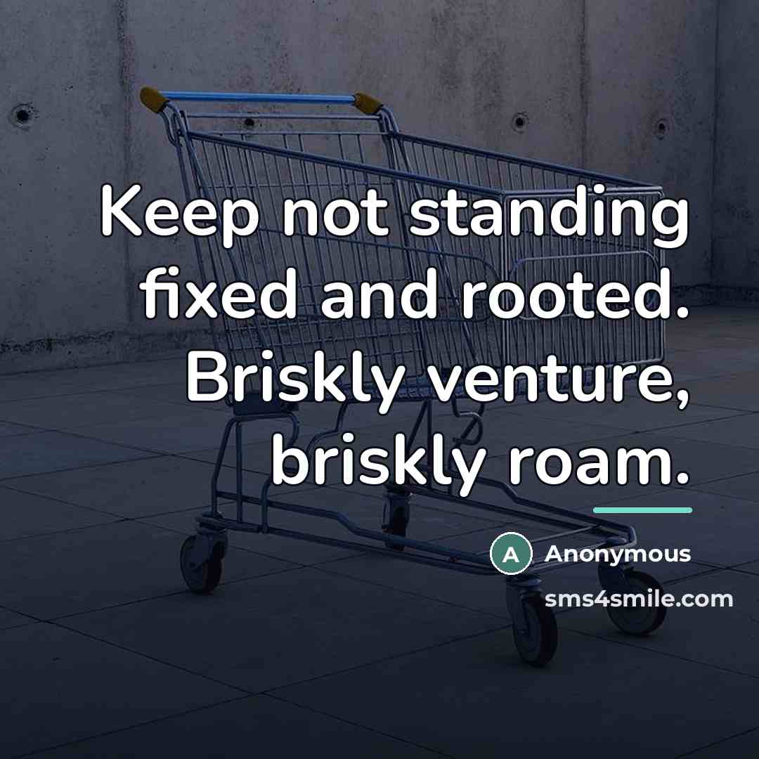 “Keep not standing fixed and rooted. Briskly venture, briskly roam.…” quote by Anonymous
