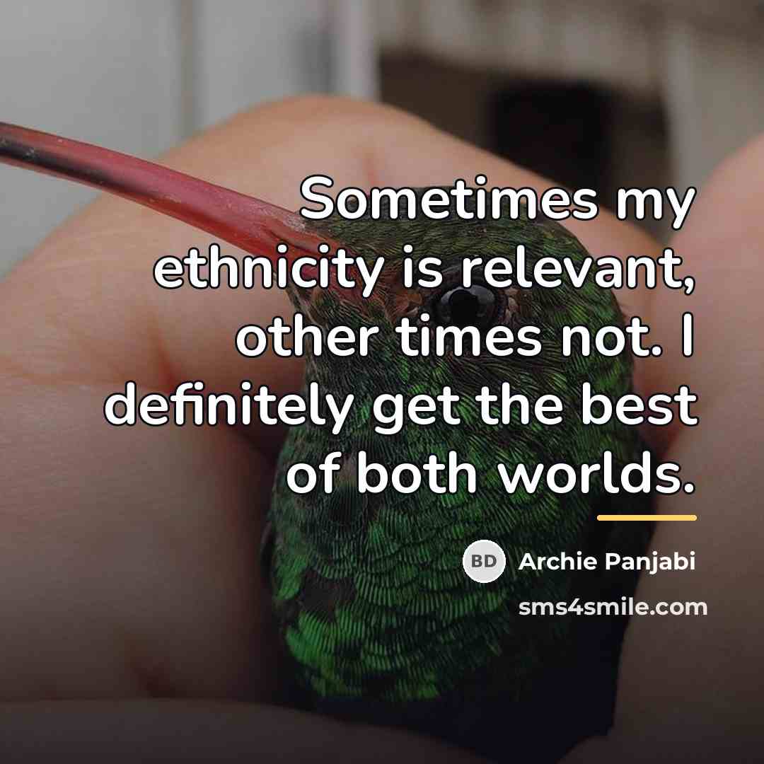 “Sometimes my ethnicity is relevant, other times not. I definitely…” quote by Archie Panjabi