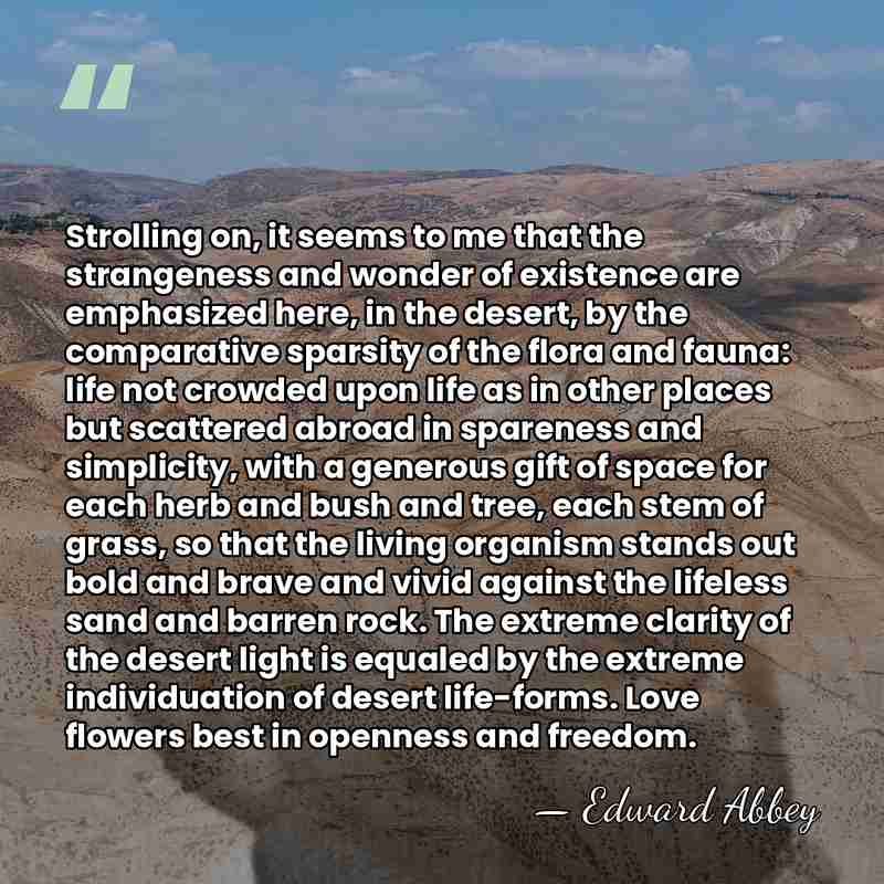 Strolling on, it seems to me that the strangeness and wonder of&hellip; - Edward Abbey