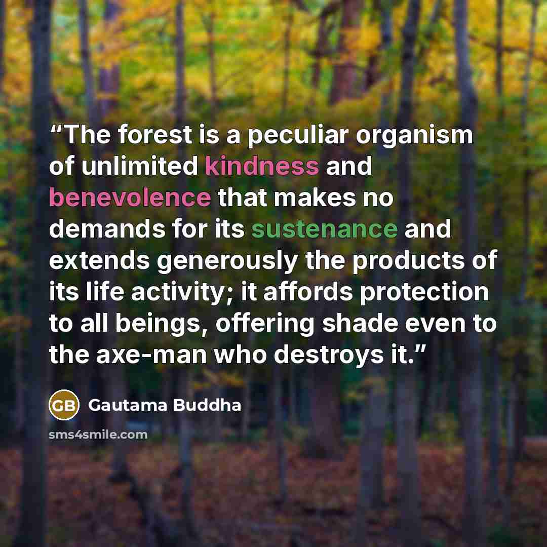 “The forest is a peculiar organism of unlimited kindness and benevolence that makes no demands for its sustenance and extends generously the products of its life activity; it affords protection to all beings, offering shade even to the axe-man who destroys it.” quote by Gautama Buddha