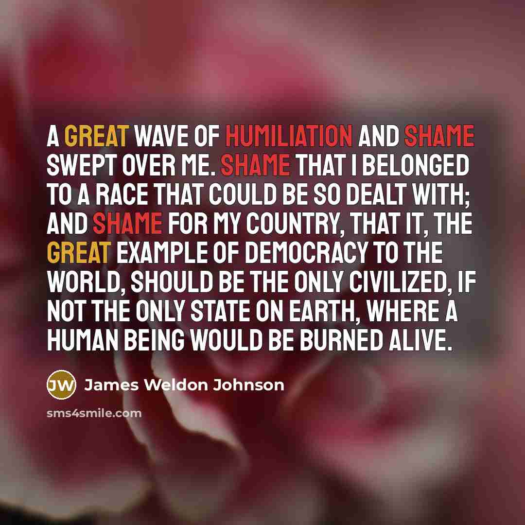 “A great wave of humiliation and shame swept over me.…” quote by James Weldon Johnson
